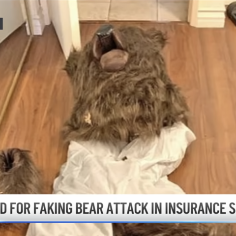 fake bear attack